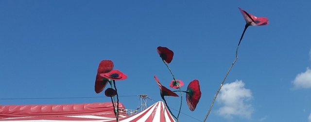 Festival du Clown 2019