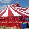 Festival du Clown 2019
