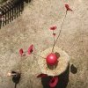 Festival du Clown 2019