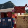 Festival du Clown 2020