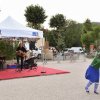 Festival du Clown 2021